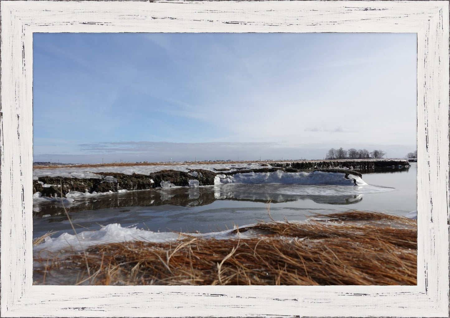 Frozen Marsh