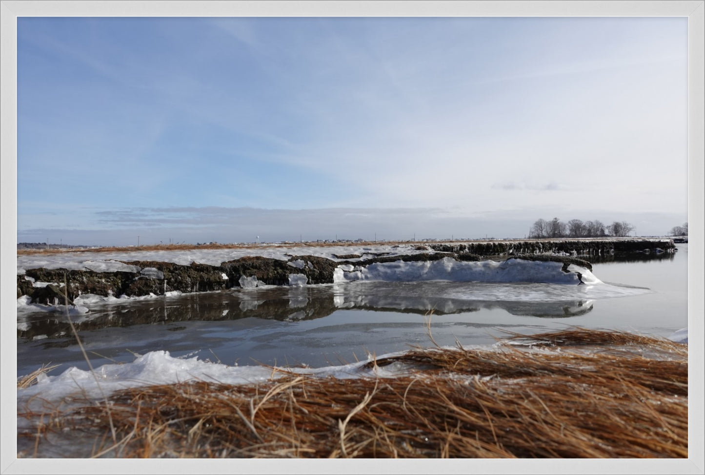 Frozen Marsh