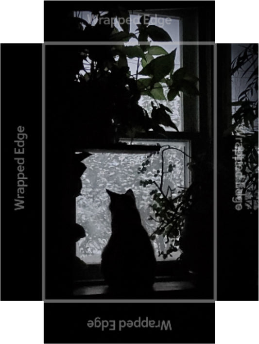 Cat in the Window Shadow - Silhouette