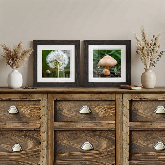 Wooden dresser with framed pictures of a dandelion and mushroom, and decorative vases.
