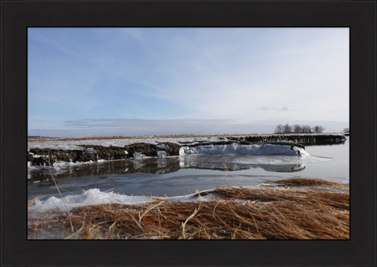 Frozen Marsh