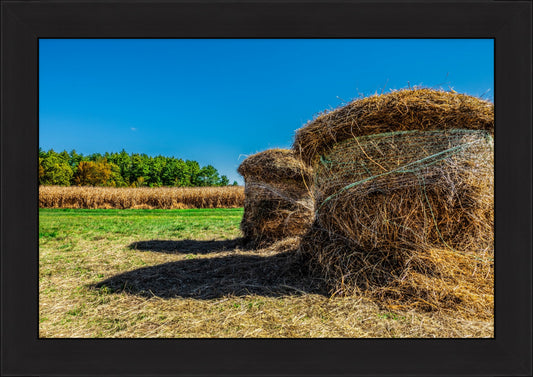 Autumn in New England No.4 - After the Harvest