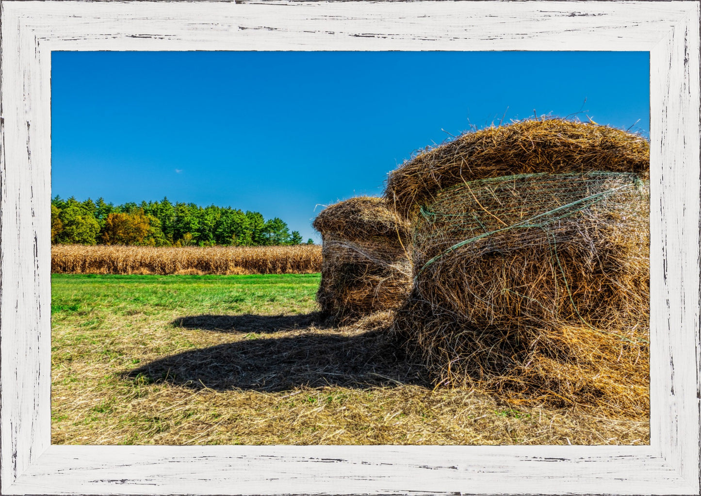 Autumn in New England No.4 - After the Harvest