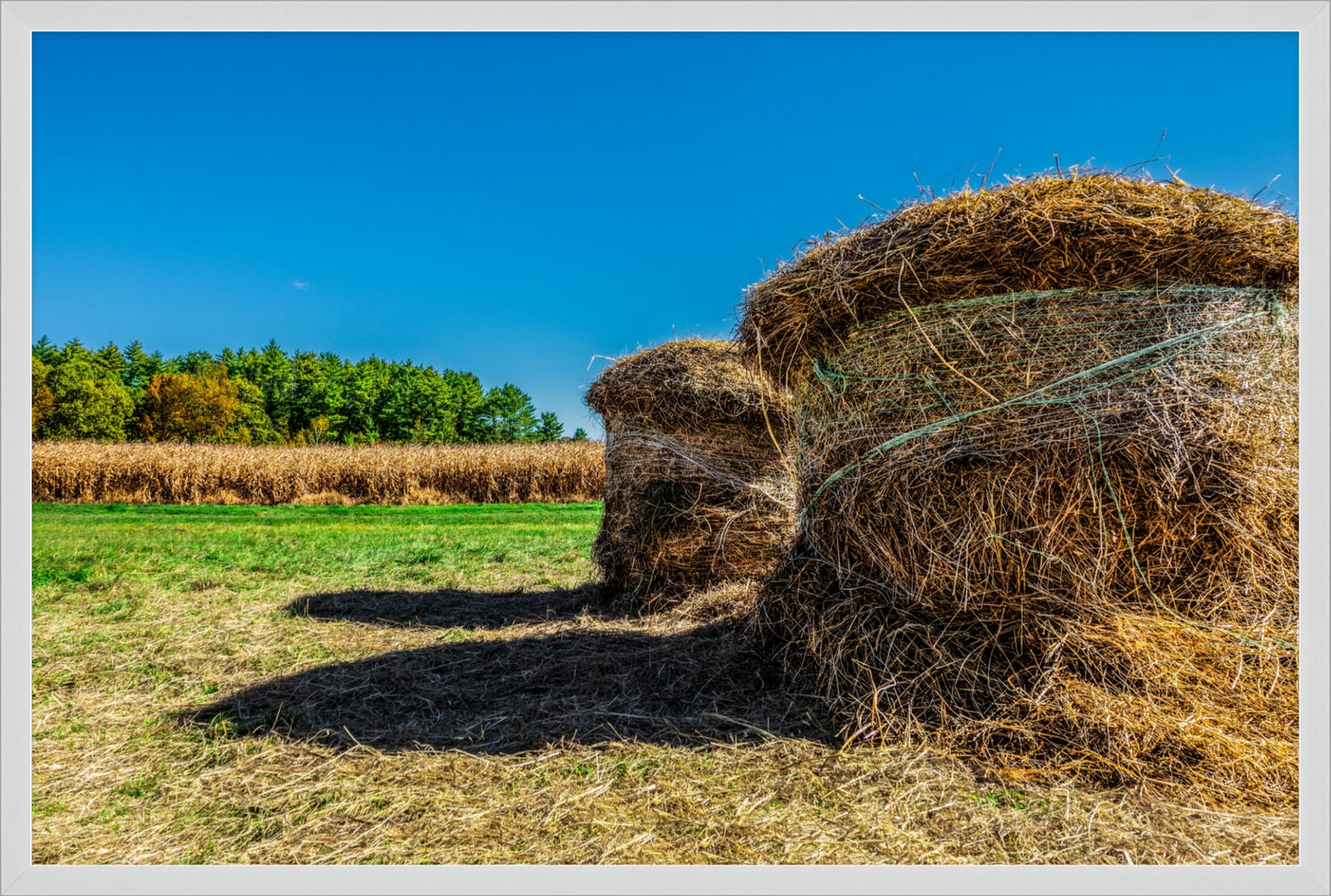 Autumn in New England No.4 - After the Harvest