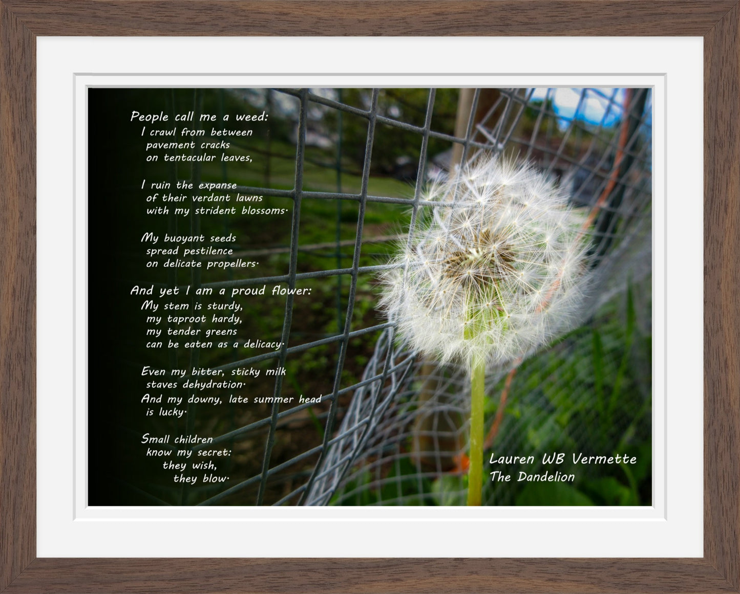 Dandelion in Verse Poetry Wall Art