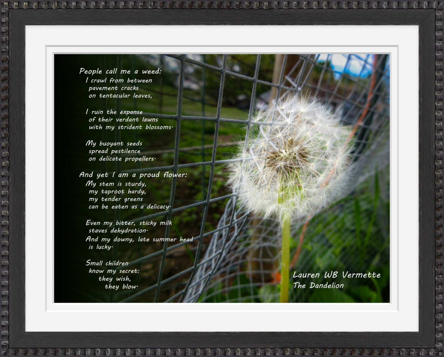 Dandelion in Verse Poetry Wall Art
