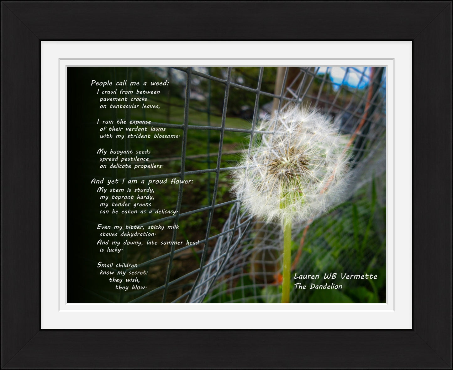 Dandelion in Verse Poetry Wall Art