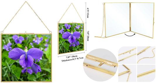Violet – Fine Art Violet Flower Photography Print