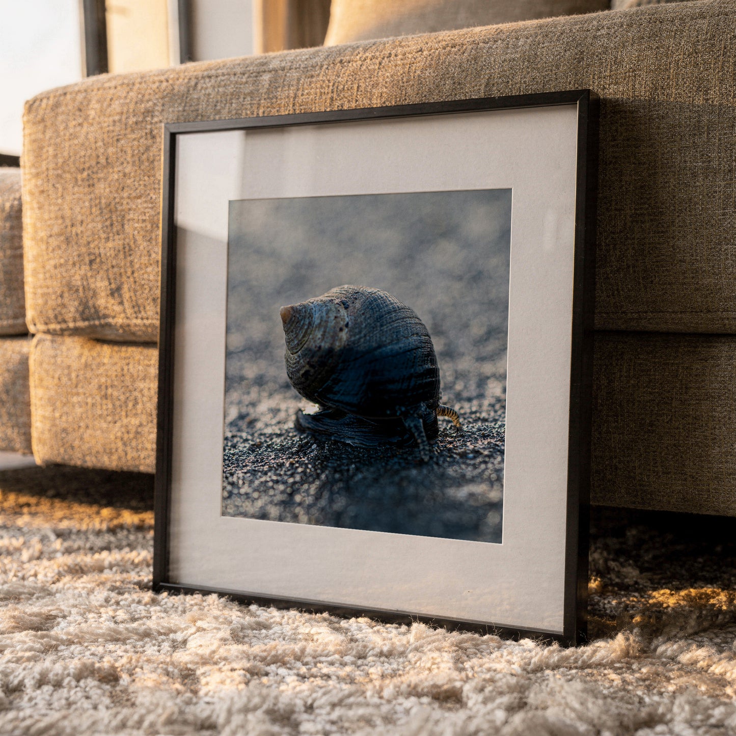 Periwinkle at Sunset — Hampton Beach NH Coastal Fine Art Photography Print