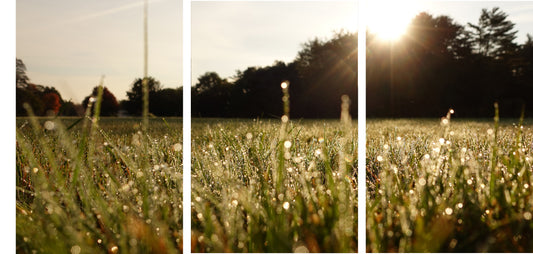 Soft Meadow Rain Triptych – Metal Wall Art