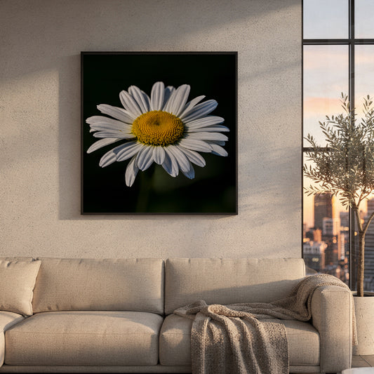 Framed picture of a daisy on a wall above a sofa with a cityscape view.