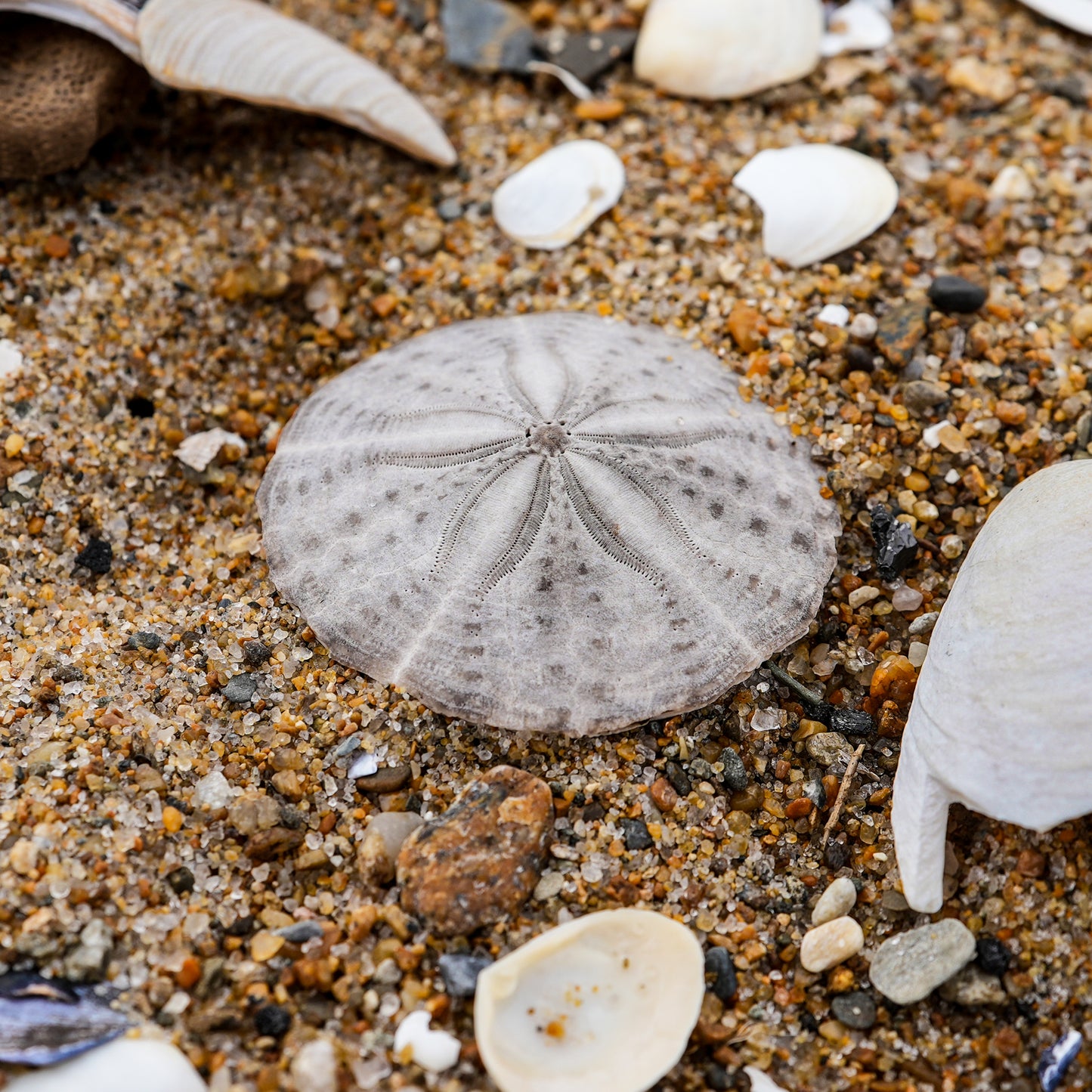 Coastal metal wall art triptych inspired by Plum Island