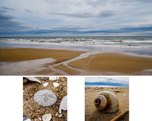 Coastal metal wall art triptych inspired by Plum Island