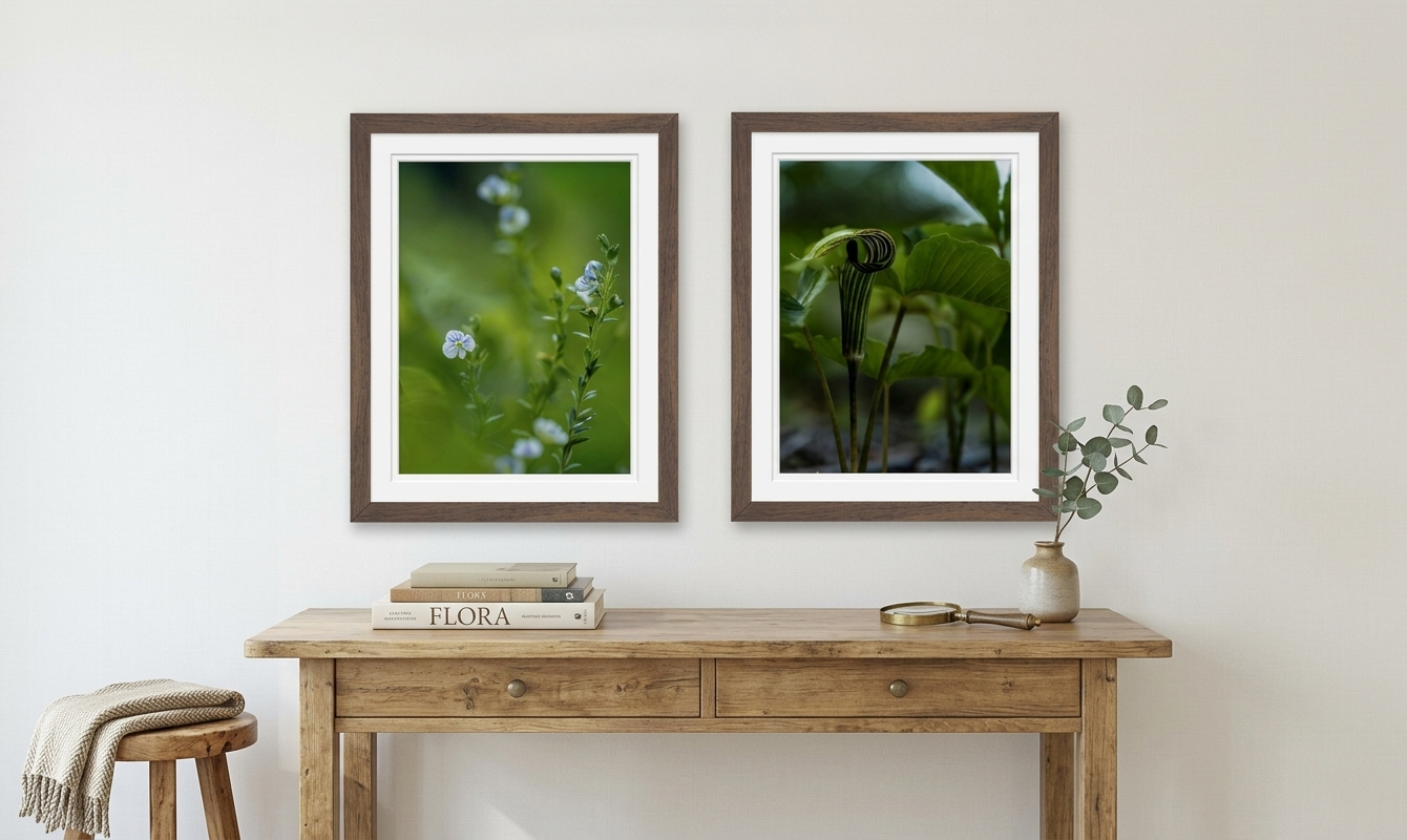 Two framed botanical prints on a wall above a wooden console table.